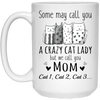 Crazy Cat Mom Personalized Coffee Mugs